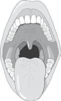 ORALCAV2.CMX