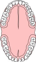 FULMOUTH.CMX