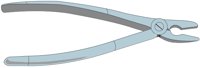 FORCEPS.CMX