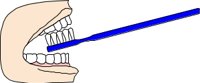 DENTCARE.CMX