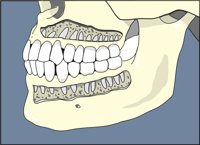 CUTJAWS.CMX