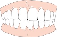 CENTOCLU.CMX