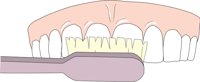 BRSHING3.CMX