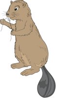 BEAVFLOS.CMX