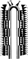SYDE0225.CMX