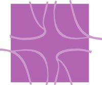SPPLPTTR.CMX