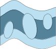 MSC00013.CMX