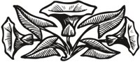 FLORAL_5.CMX
