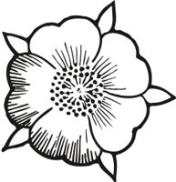 FLORALI2.CMX