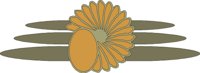 DSGNC069.CMX