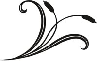 CAT_LR.CMX