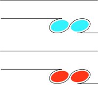 C1B.CMX
