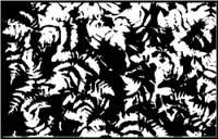 1255.CMX