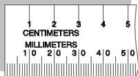 RULER1.CMX