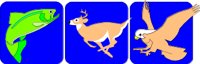 WILDLIFE.CMX