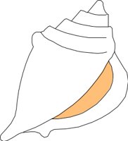 SEASHELL.CMX