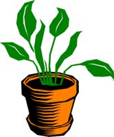 PLANT.CMX
