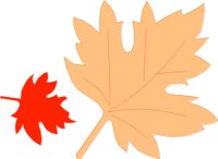 FALLSYM.CMX