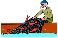 FISHMAN.CMX
