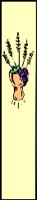 PLRM0009.CMX