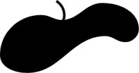 HAT01.CMX