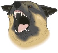 POL_DOG.CMX