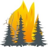 FORESTFR.CMX