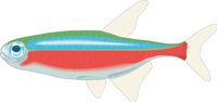 TETRA.CMX