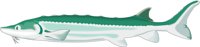 STURGEON.CMX