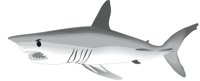 SHARKO.CMX