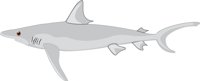 SHARK3.CMX