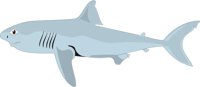 SHARK2.CMX