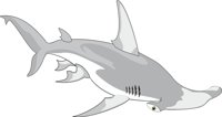 SHARK1.CMX