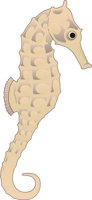 SEAHRSE2.CMX