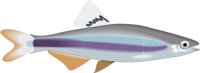 SAILFIN.CMX