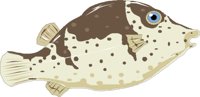 PUFFER.CMX