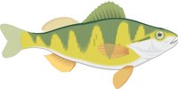 PERCH.CMX