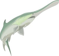 PADFISH.CMX