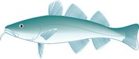 PACCOD.CMX