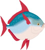 OPAH.CMX