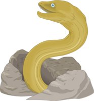 MORAY.CMX