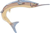 HALFBEAK.CMX