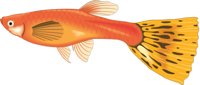 GUPPIE.CMX