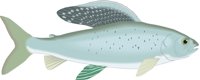 GRAYLING.CMX