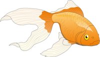 GLDFISH2.CMX