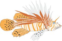 FISHSCOR.CMX