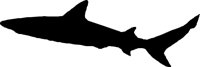 FISHS006.CMX