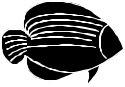 FISHS003.CMX