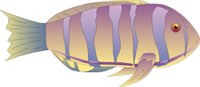 FISH4.CMX