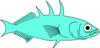 FISH026.CMX
